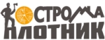 КосстромаПлотник